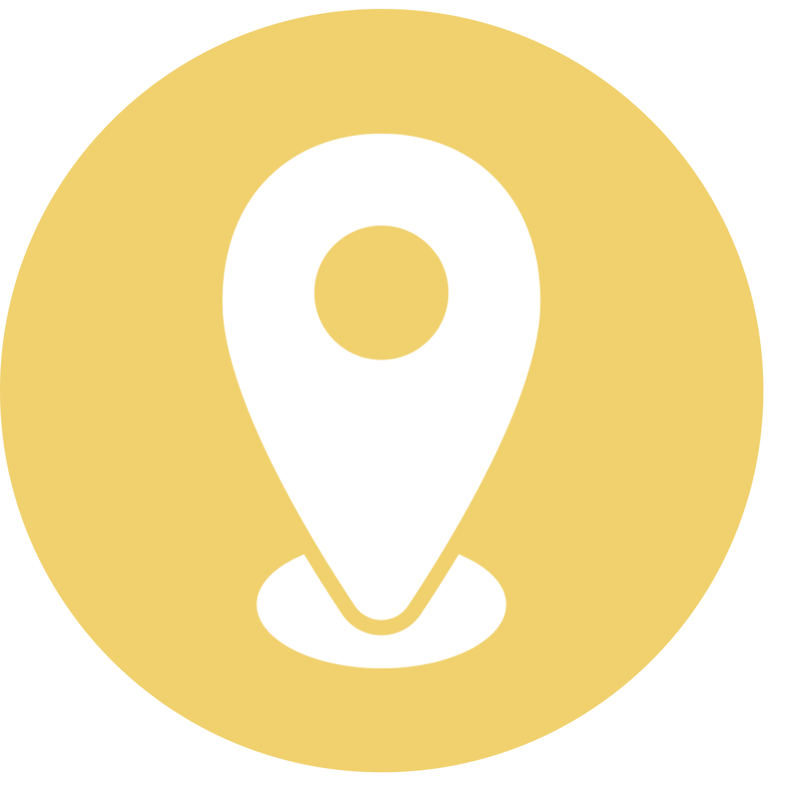 Pin Icon
